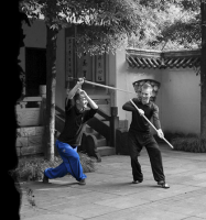 kung fu oppitunteja helsinki Suomen Wushu Kung Fu Seura Ry