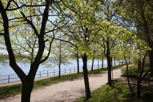 halvat romanttiset yot helsinki Sky Hostel Helsinki