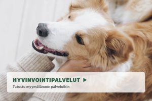 kaupat ostaa koiria helsinki Musti ja Mirri Helsinki Stockmann