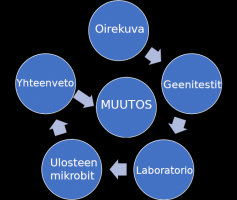 geenitesti helsinki SelexLab