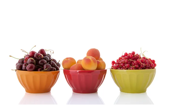 food handling licence courses helsinki University of Helsinki