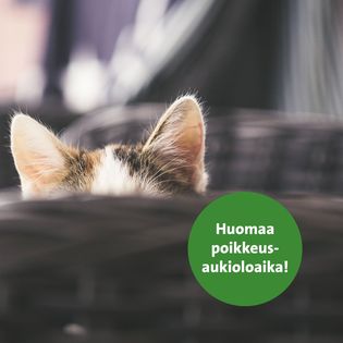 tarjoukset elainlaakarin avustaja tyopaikat helsinki Kissaklinikka Felina Helsinki